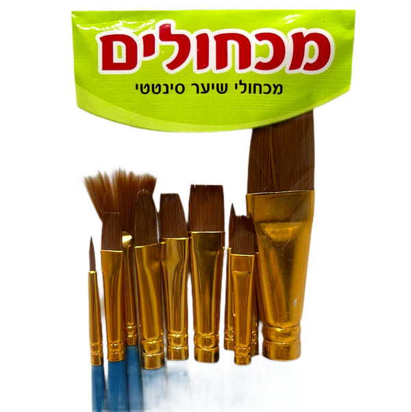 סט 10 מכחולי שיער סינטטי