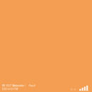 ספריי צבע מונטנה MTN94